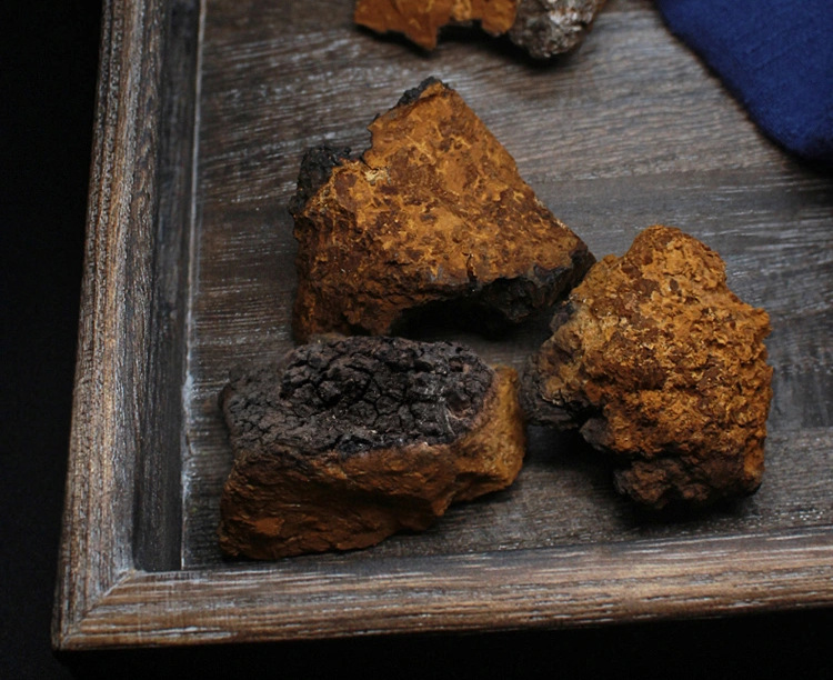 Chaga Mushroom Granules Hua Shu Rong 70g Jar Dried Inonotus obliquus Sclerotia for Daily Herbal Tea and Decoction specifications