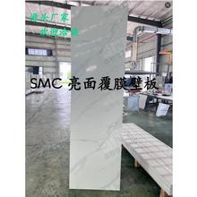 整体卫生间亮面覆膜 SMC壁板  整体卫浴墙板 壁板  厂家直销