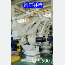 MPL500 ���������� ѯ��