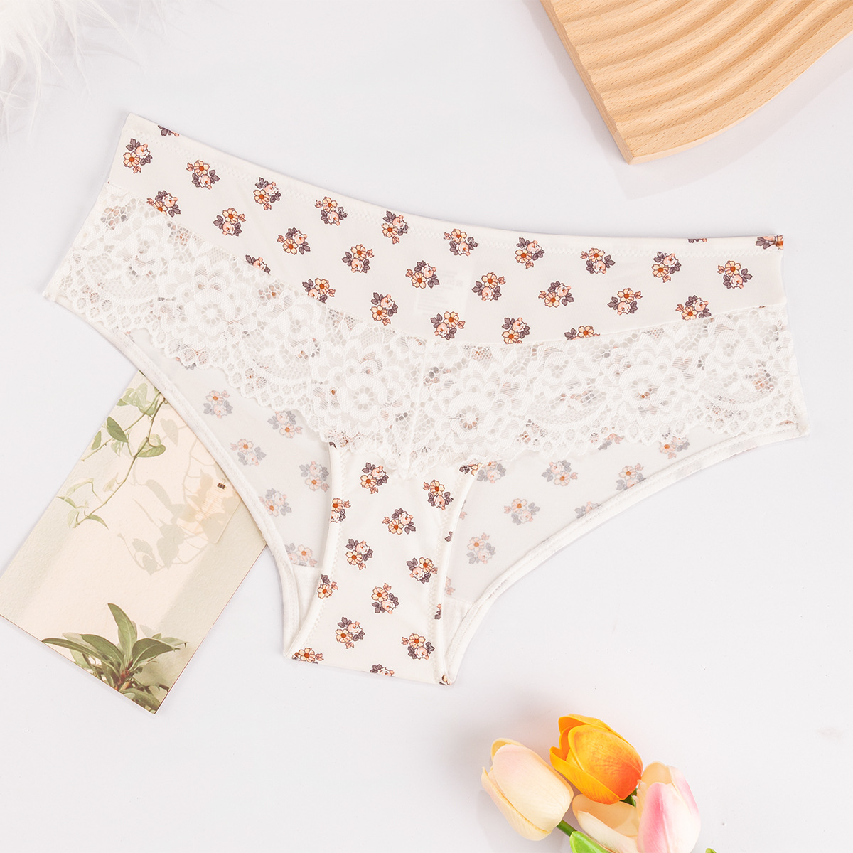 Europa y América comercio exterior ropa interior de encaje sexy, impresión de nylon transpirable, secado rápido, pecho pequeño, conjunto de sujetadores de damas.