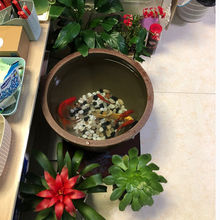 ͥԺˮ���쾰�ɻ�����ʽ˯ɏ�������մ����B���ֹŷ��B�~