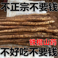 铁棍山药正宗温县垆土淮山药河南焦作新鲜5斤官方旗舰店怀山药