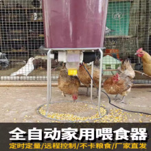 ��ι�uʳ�������������r�Ԅ�ιʳ���B�u������Ʒ�þ�zb�Ԅ�ιʳ��