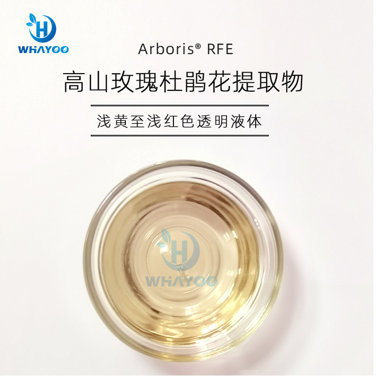 美国苮琇synsil有报送码化妆品原料清澈透明无沉淀高山玫瑰杜鹃花