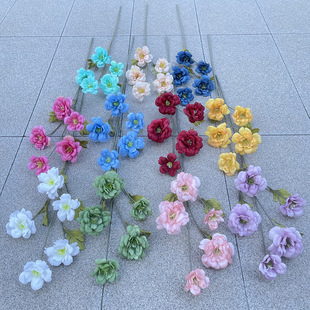 �a��؛Դ ���滨 TH-5�^��֧ľ�Ȼ� ��c·���b� �Ҿ�ܛ�b