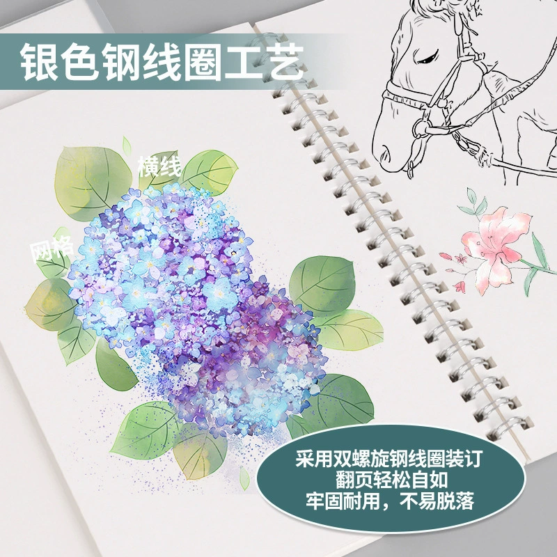 Spiral Notebook, Transparent PP Cover, A6/A5/B5 Tear-Off Sheets, Lined/Squared/Blank
