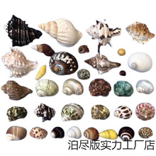 �ľ�з���Ú���Q����ؐ�~���Ú���Ȼؐ���~��ˮ���b�Ʒ�[��