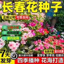 LNӻմNӶ༾_׻ͥԺ҃⻨N