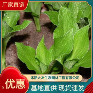 �������l ���~������ ��߅������ ���~����  �S��ֱ�l�r��