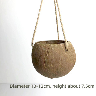 Creative organic plant lamp, strap, decorations, Amazon