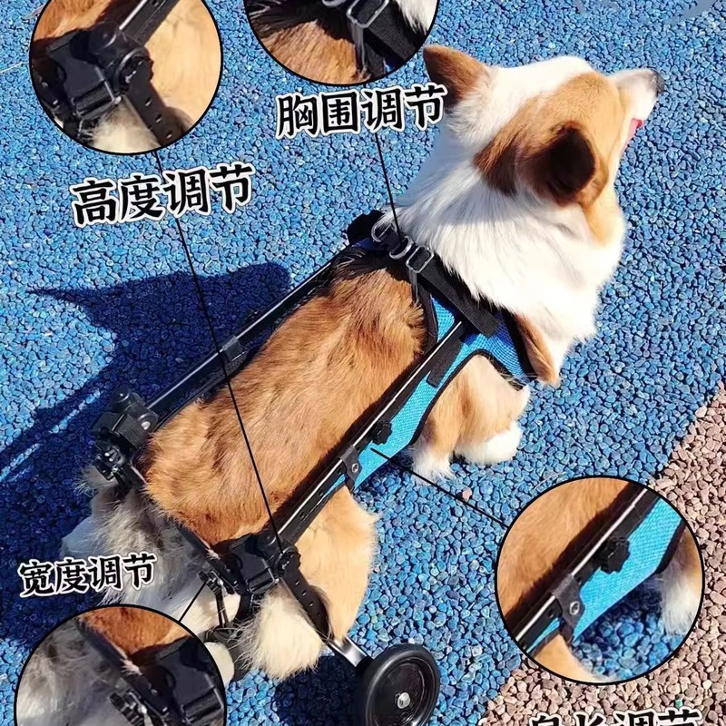 犬用車椅子、後肢麻痺リハビリテーション、小型犬用移動車、猫用補助テディペット犬用後肢ブレース|undefined