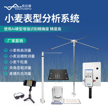 小麦表型分析系统麦穗形态小麦亩穗数测量系统小麦表型测量分析仪