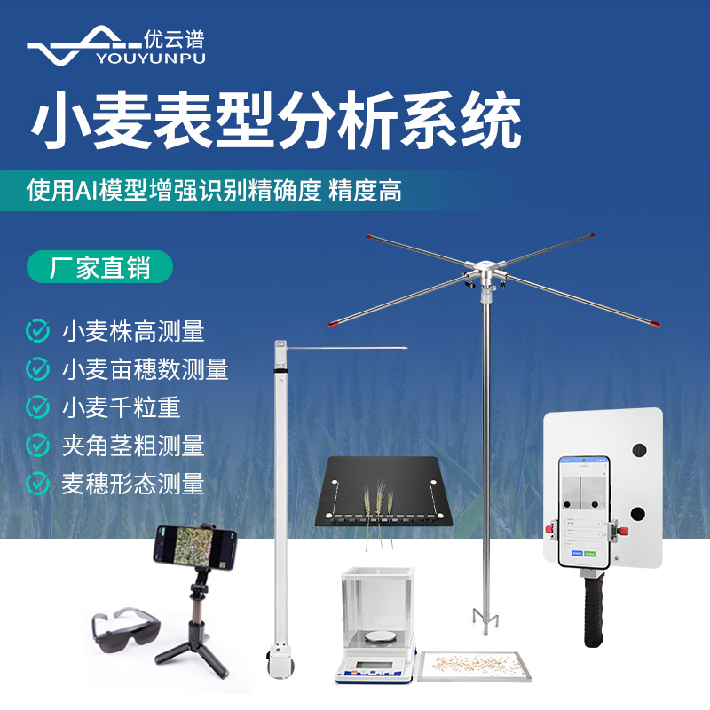 小麦表型分析系统麦穗形态小麦亩穗数测量系统小麦表型测量分析仪