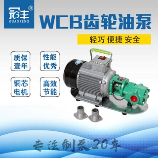 供应不锈钢齿轮式输油泵 WCB-30 可手提