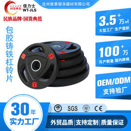 佳力士男士家用商用杠铃杆套装厂家批发手抓铸铁三孔片包胶杠铃片