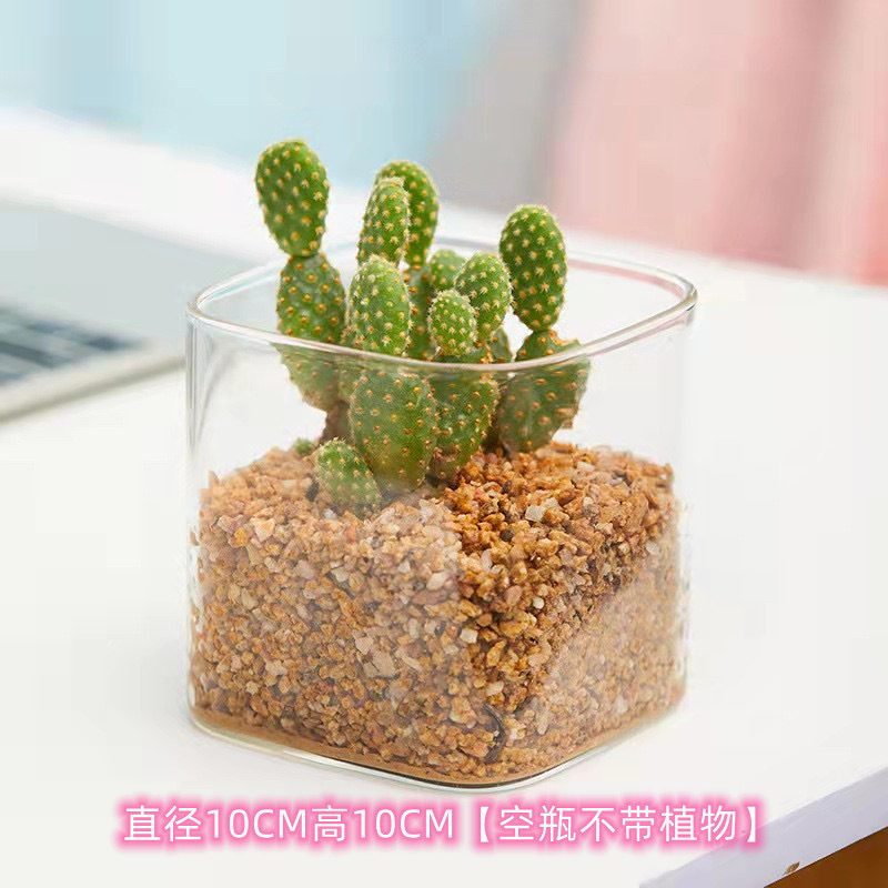 Vidrio hidropónico transparente cilindro cuadrado florero simple tanque de peces hidropónico rábano verde suculento contenedor cuadrado candelabro maceta al por mayor