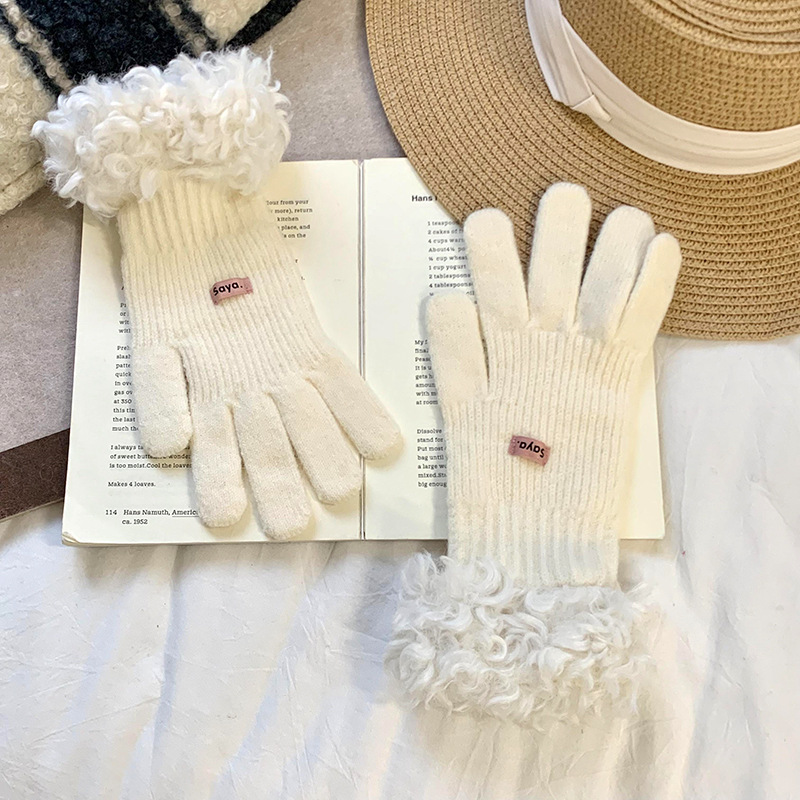 Nuevos guantes de borde de peluche coreanos para mujeres otoño invierno versátil grueso guantes de dedo de pantalla táctil de lana cálida