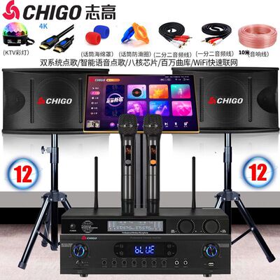 志高 Профессиональный 12 -INCH СЕМИНА
