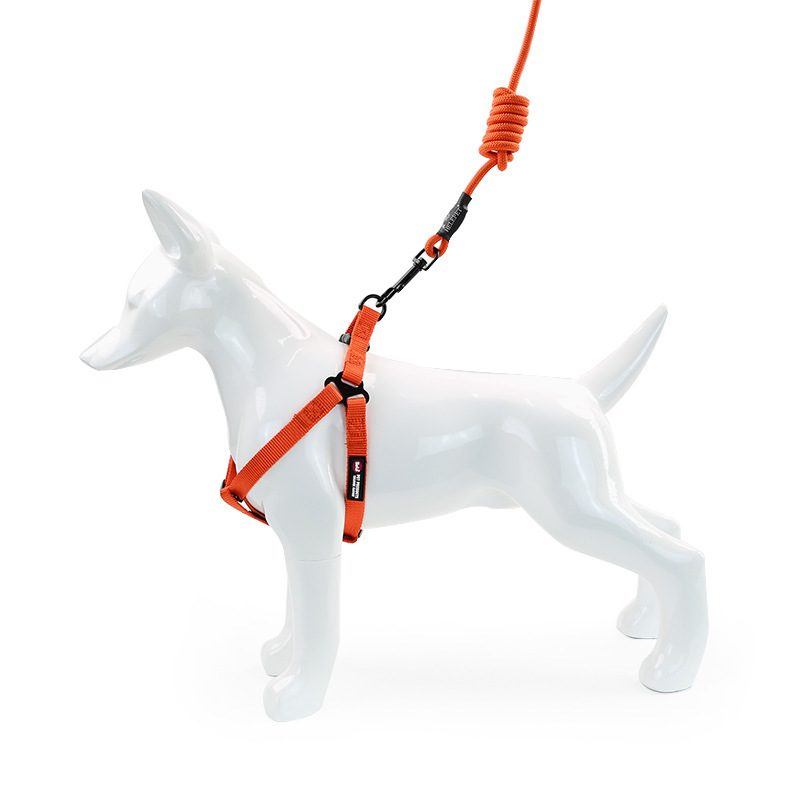 Correa para Perro de Aluminio de Amazon, Correa para Perro Rottweiler Resistente al Desgaste y a los Golpes, Correa Redonda de Cuerda para Perro