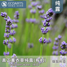 ����޹�²ݼ�¶ �M�ڱ��������ЙCԭ�ϻ�ˮ��¶�������yƷԭ��