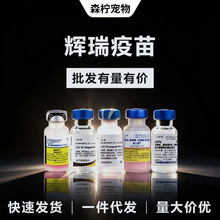 �x��T�v�������Ȯ��������Ȯ����С�����Ђ���؈���l�����
