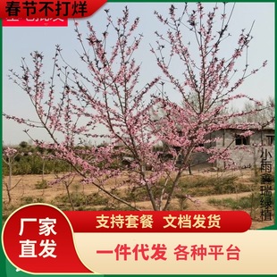 һ�����l���l���Ҙ� �Ɏ����� �޽��Ҙ� ����Y�� �_�������U�ʹ�