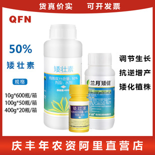�m�°��� 50%������ ����ֲ�����L ��ֹ����ֲ�ﰫ�������L�{����