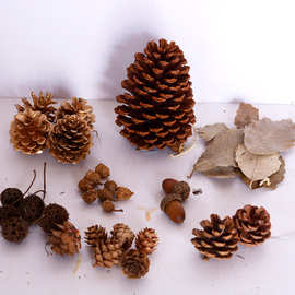 松果圣诞装饰干花手工创意diy森林材料包家居装饰干树枝木片松塔