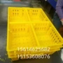 塑料雏鸡鸡苗周转筐