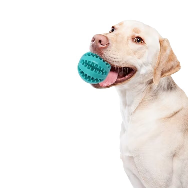 ゴールデンレトリバー用ペットおもちゃ、犬用漏食ボール、歯ぎしり防止おもちゃ、噛むおもちゃ、ボール、クリーニング、知育ペットおもちゃ、漏食ボール|undefined