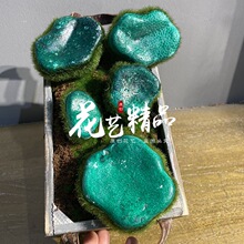 ����̦�\��̦�\ʯ�^�K��ʯ�^΢���^ֲë�G��ƺ����[�Ż�ˇ������