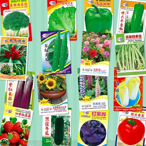 Весна и летний сезон -Dollar Easy Seed Seed Seeding Производитель прямой продажи четыре сезона добрые слова из уст Семена