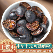 中华药土鳖-中华药土鳖批发、促销价格、产地货源 - 阿里巴巴