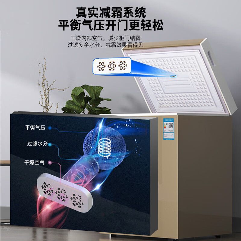 志高微霜冰柜家用冷柜小型立式家商两用冷藏冷冻保鲜速冻单温租房