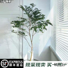 ИRRľƽˮr֦͏dkbGֲˌ