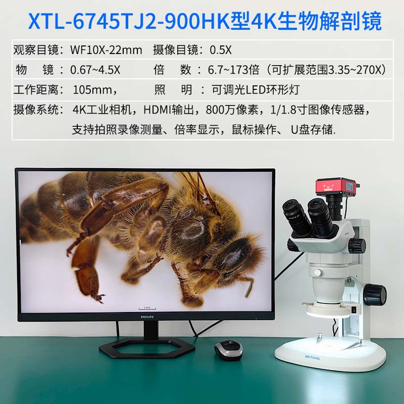 三目体视显微镜 XTL-6745TJ2-900HK型光学仪器生物解剖工业显微镜