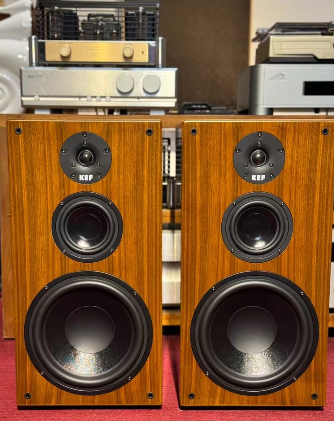 British Ke Fever Bookshelf Speaker 10-Inch 3-Way High-Power Home Wooden Karaoke Singing