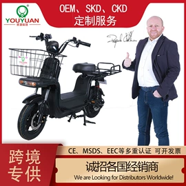 电动摩托车;电动自行车;电动三轮车