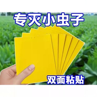 Double-Sided Sticky Insect Trap Board for Fruit Flies, Vegetable Garden Pest Control Tool, Mosquito Repellent Needle, Bee Sticky Mosquito Board, Mosquito Killer Board