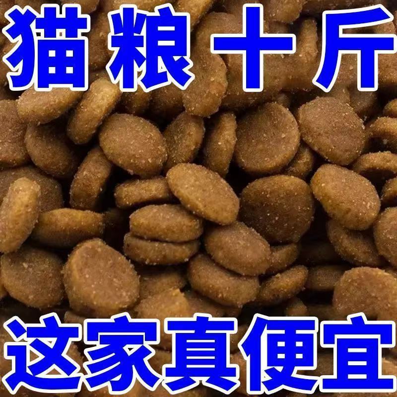 ddef2bf8-2931-4696-9546-f512b8b3531a.jpe