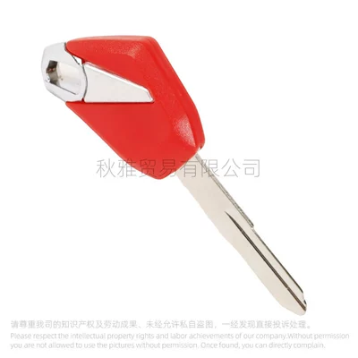 Motorcycle Key – embryo/handle