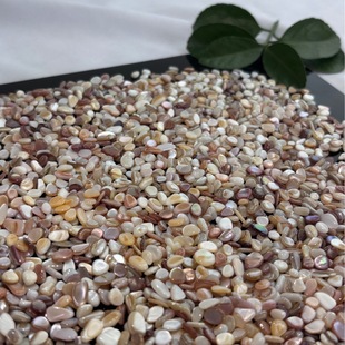 Shell Mother of Pearl 2-6mm Chamfered Polished Home Decoration Shell Fragments Irregular Shell Pieces Shell Ornaments