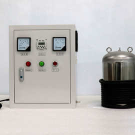 厂家批发水箱臭氧自洁器WTS-2B 臭氧消毒器设备