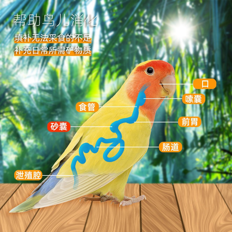 オウム鳥用健康砂、ハト、黒鳳、虎皮用の特別な栄養砂、赤土粉末、微量元素|undefined