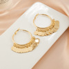 Fashionable golden metal earrings with tassels, European style, light luxury style