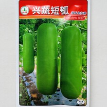 兴蔬短瓠子早生瓠瓜种子瓢菜菜葫芦乌瓠龙凤瓠瓜胡瓜蔬菜种子