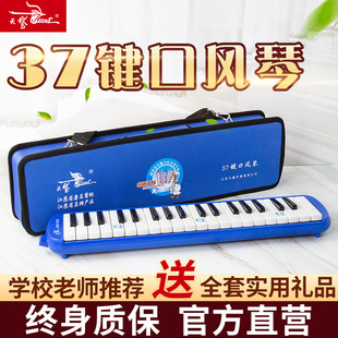 Swan Organ 37 Key Primary School Children Beginners Adult Teaching Introduction Mouth Piano 32 Key Playing Musical Instruments