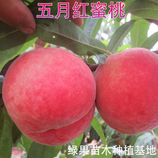 ������ ���¼t���� �Ҙ��� �޽����� ˮ������ ���@�Nֲ ��������