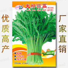 小叶茼蒿种子皇帝菜种籽光杆蒿子秆四季播阳台盆栽庭院蔬菜种子