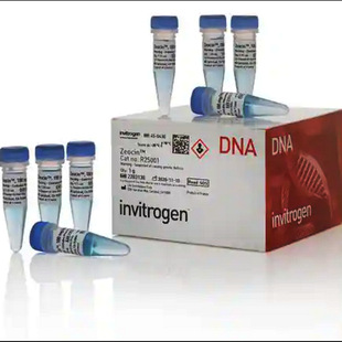 ����ԇ��Zeocin���Rù��125mg/1.25ml invitrogen����ù��R250-01